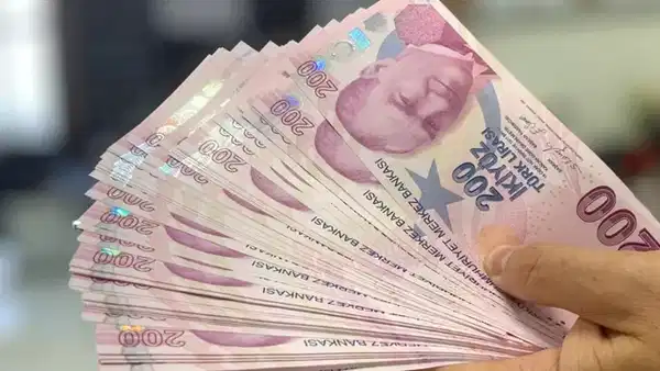 Yelpaze şeklinde tutulan 200 TL banknotları