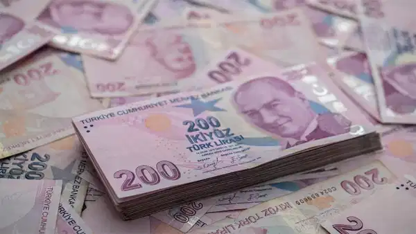 200 TL banknotları ve para demeti