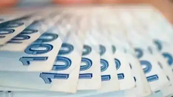 Türk lirası banknotlarının yakın plan görüntüsü.