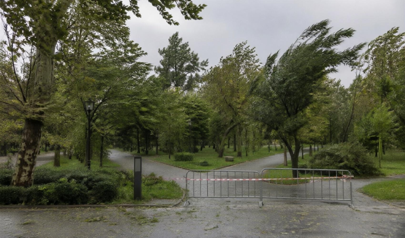 İstanbul’da kuvvetli rüzgar uyarısı: Bazı koru ve kent ormanları ziyarete kapatıldı