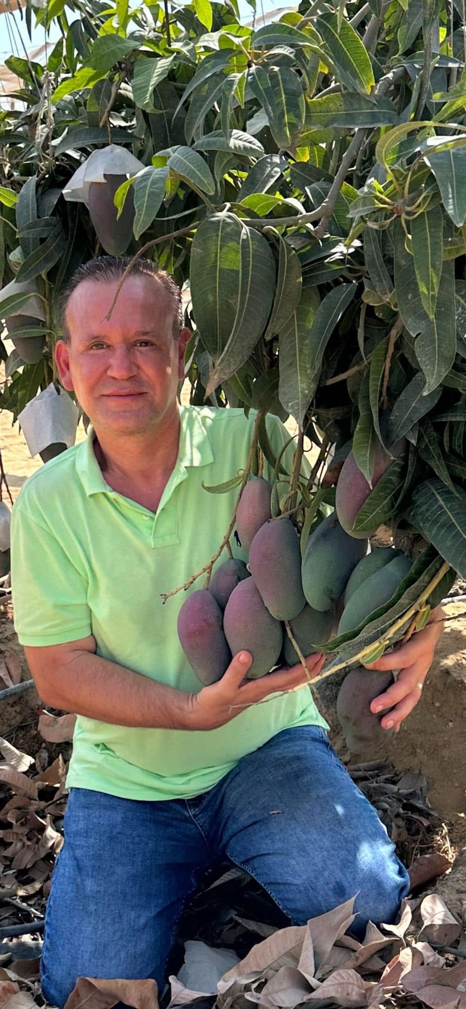 Mango ağaçlarının yanında görülen Mustafa Ezici.