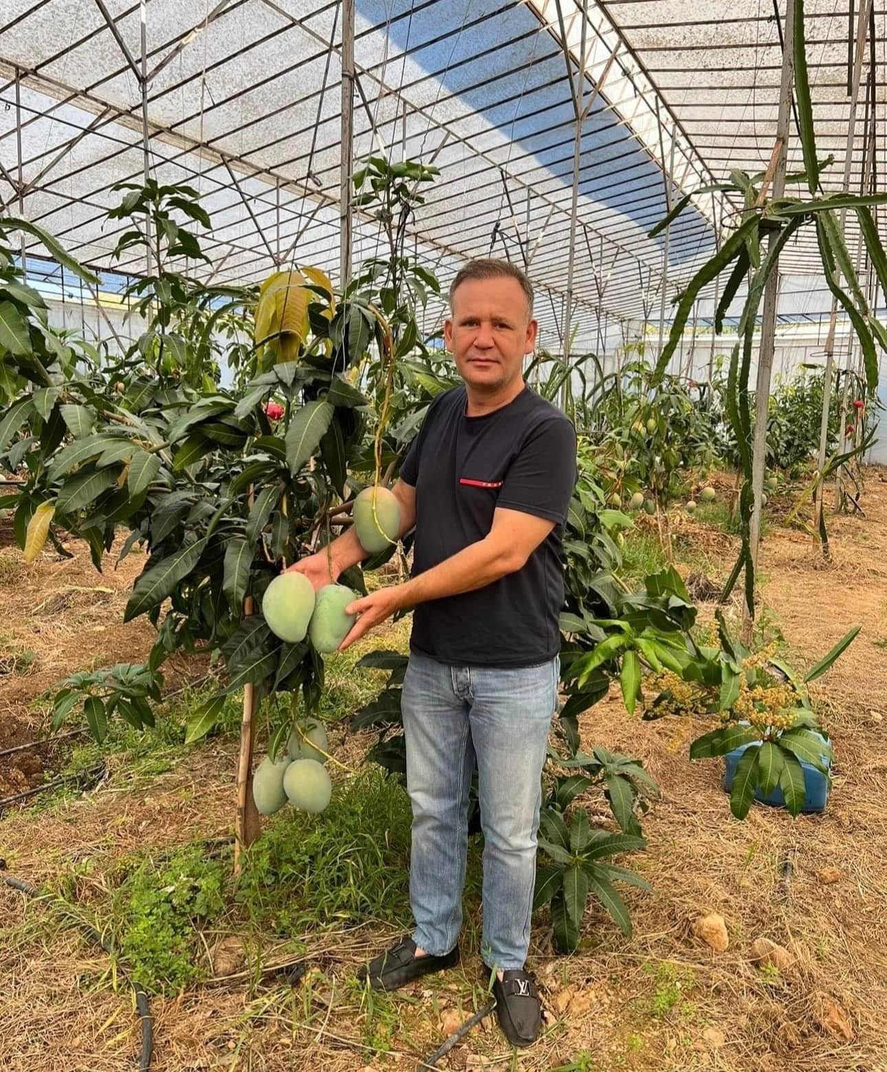 Mustafa Ezici’nin serada mango ağaçları arasında çekilmiş fotoğrafı.