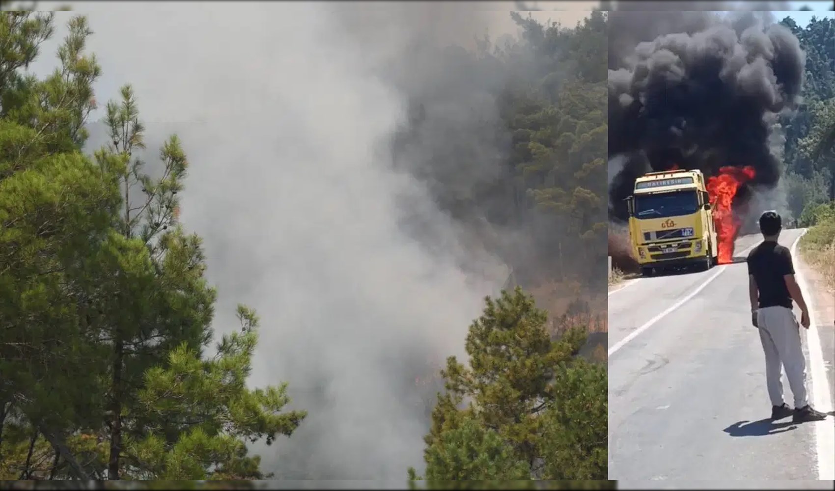 L'incendio si propaga all'area boschiva, squadre in allerta