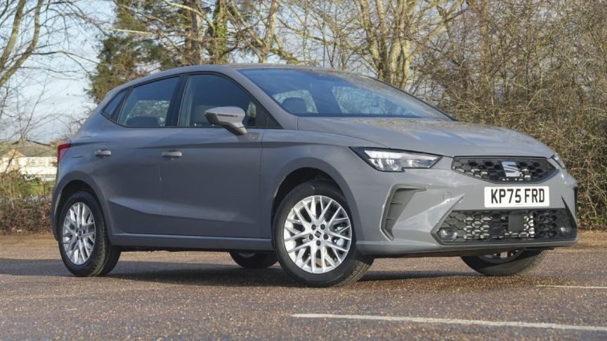 Park alanında duran gri Seat Ibiza otomobil.