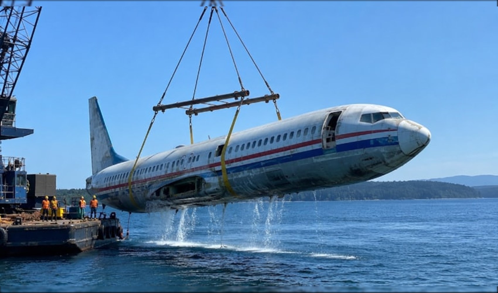 Eski yolcu uçağı, deniz tabanında canlılara yuva oldu