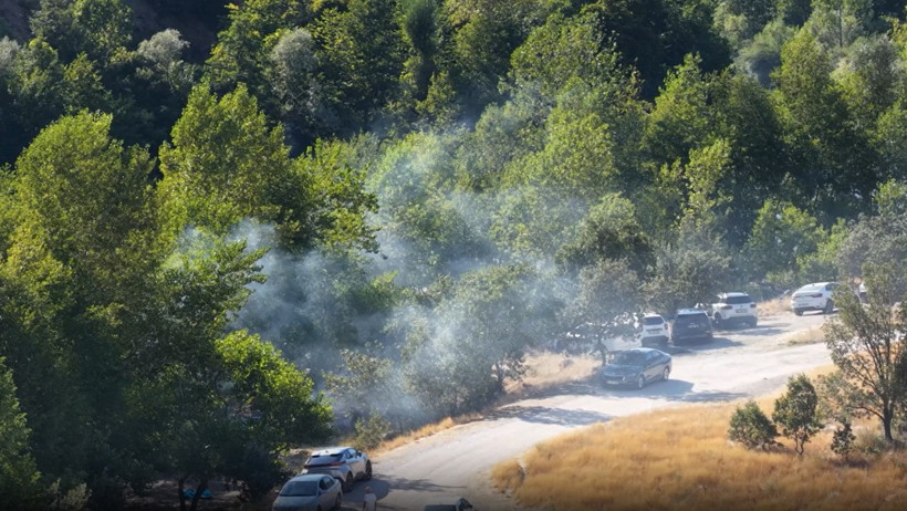 Dense smoke rising from near vehicles on the roadside in a forested and wooded area.