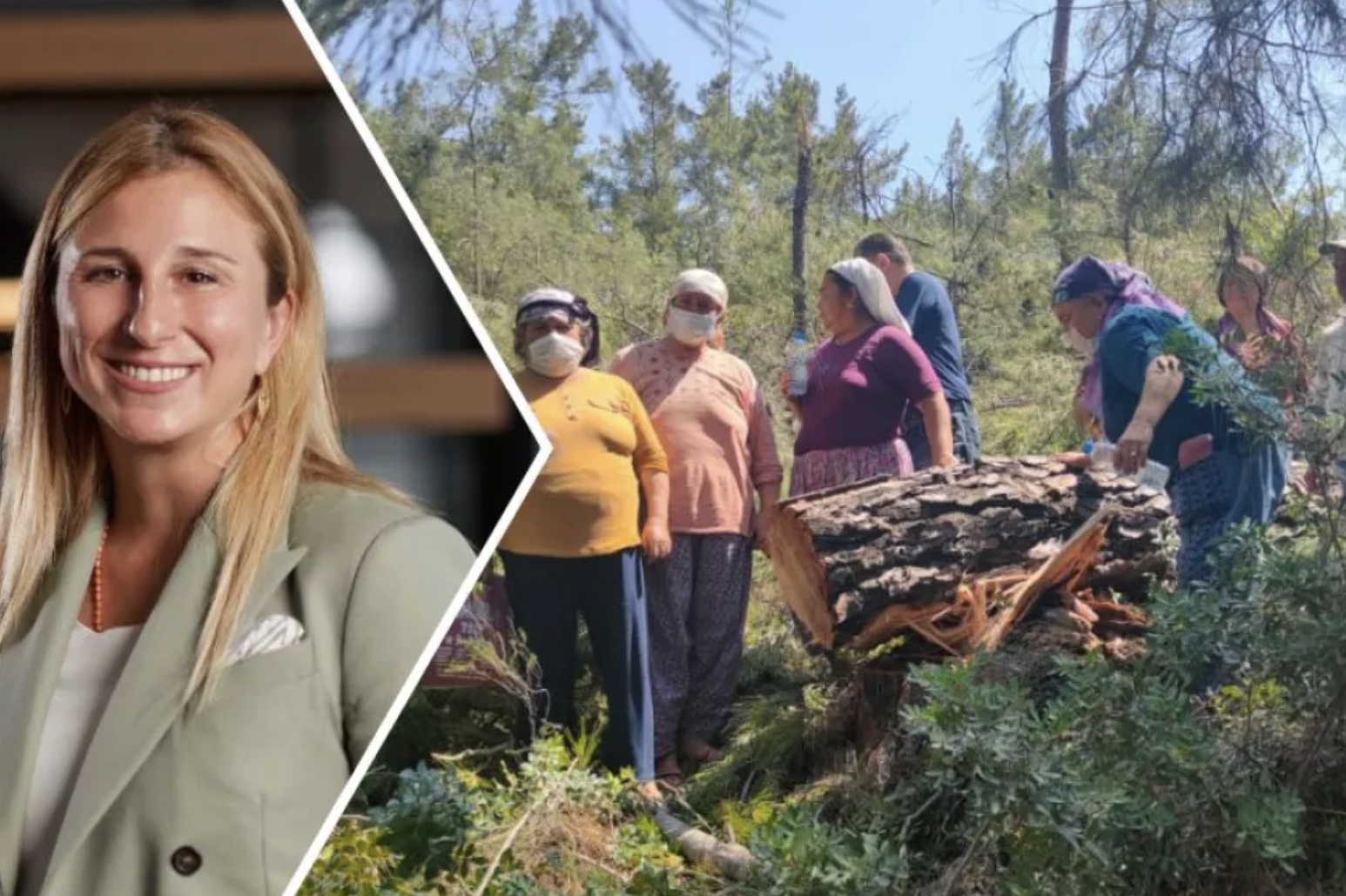 Ebru Özdemir’in portresi ile Akbelen’de kesilmiş ağaçların yanında duran kadınların yer aldığı kolaj.