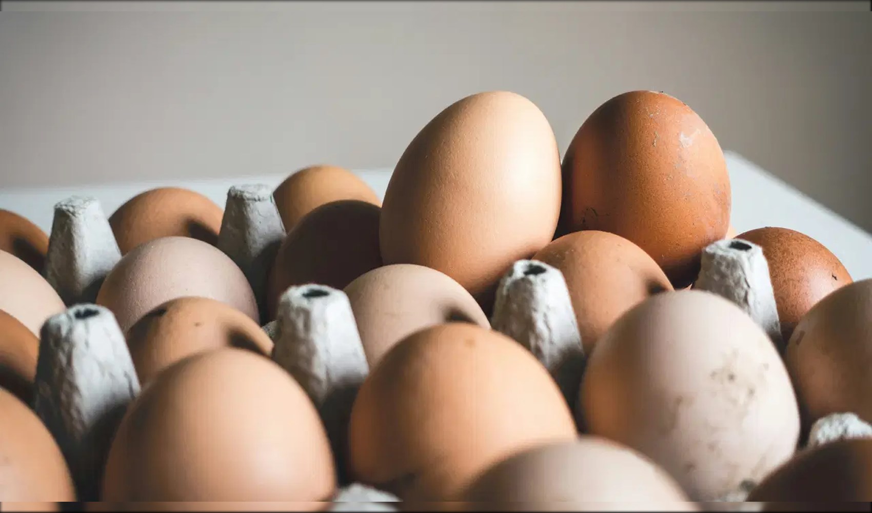 Salmonella krizi... Yumurtalar piyasadan toplatıldı, yüzlerce kişi enfekte oldu