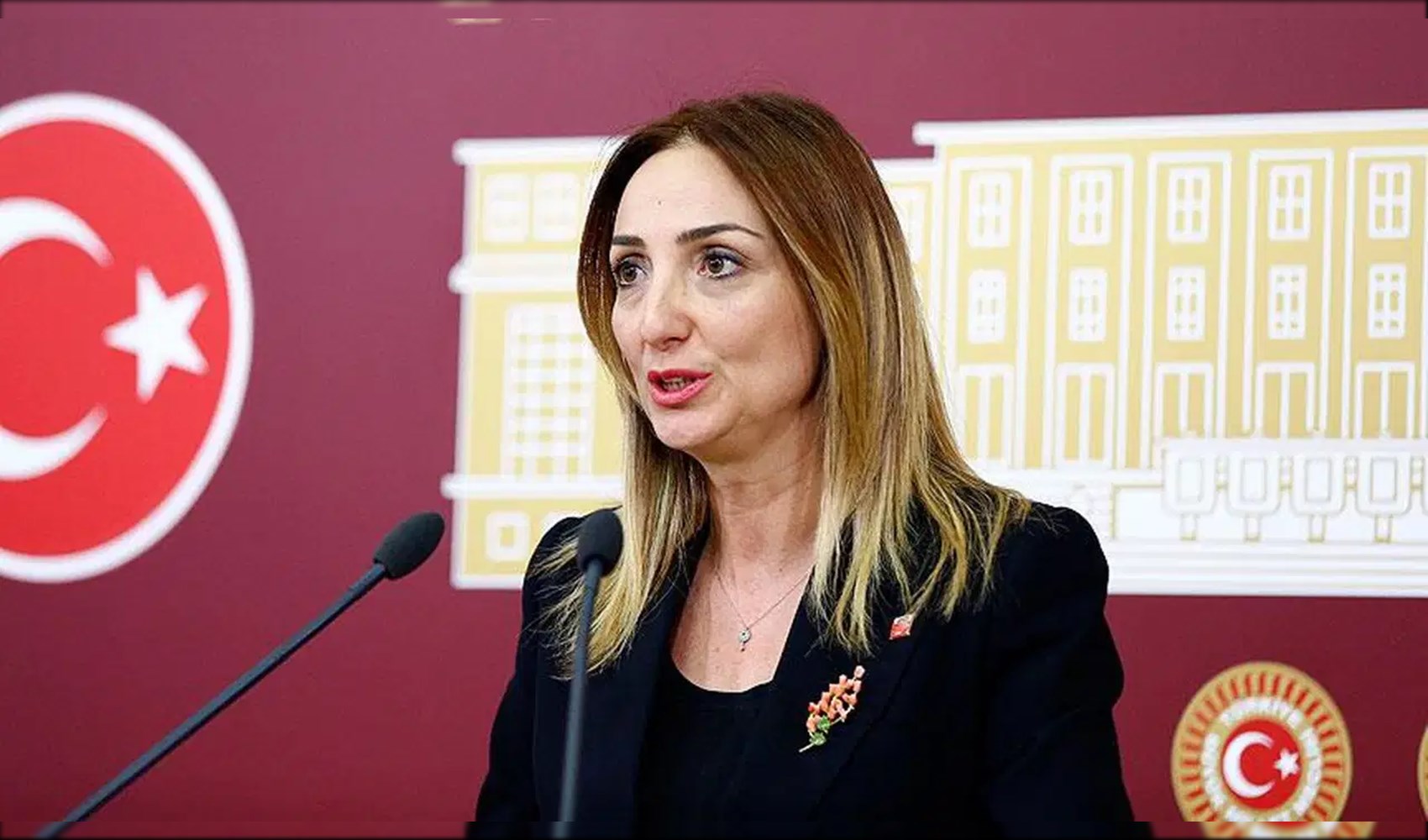 Nazlıaka'dan parti içi ihraç talebine sert tepki