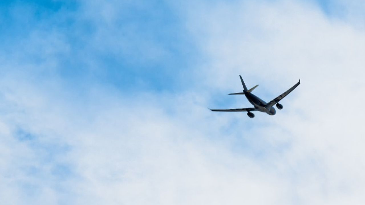 The 20 airlines with the most flights announced: Where does THY rank on the list?