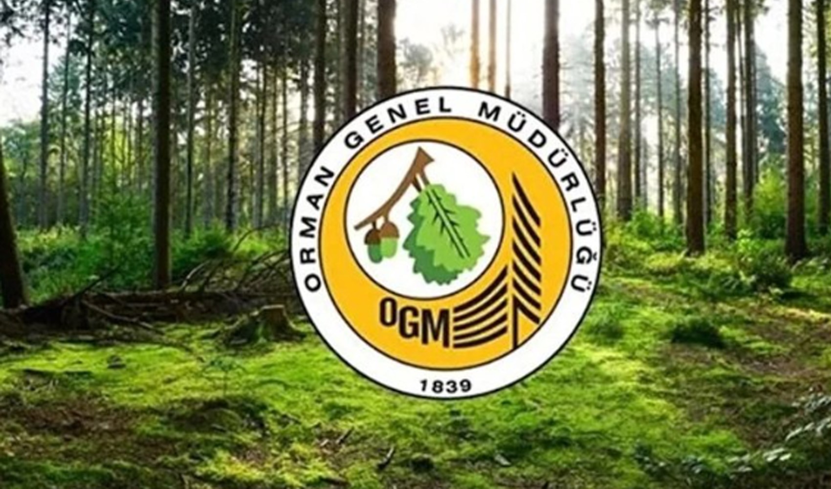 OGM: Fethiye ve Köyceğiz’deki yangınlar kontrol altında