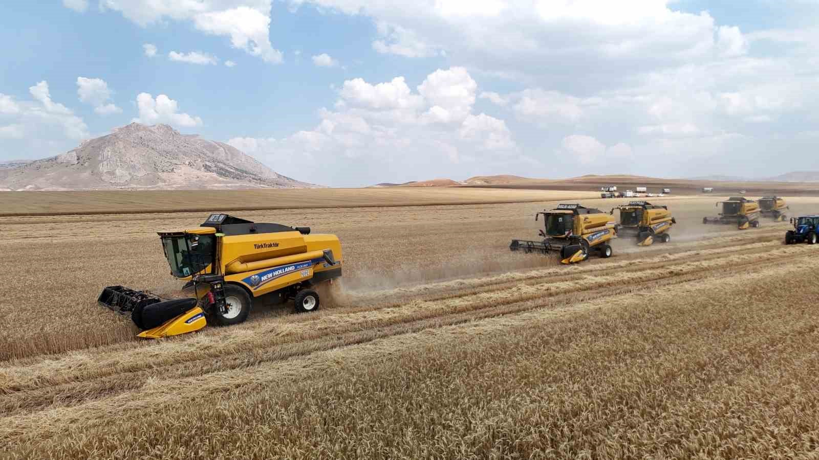 Dağ manzaralı geniş hububat tarlasında biçerdöverlerin hasat yaptığı görüntü.