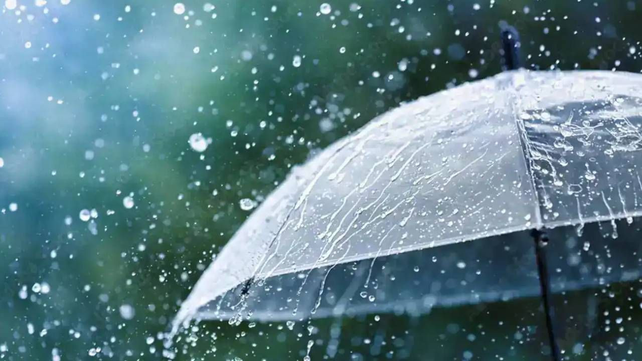 Şiddetli yağmur altında şemsiye