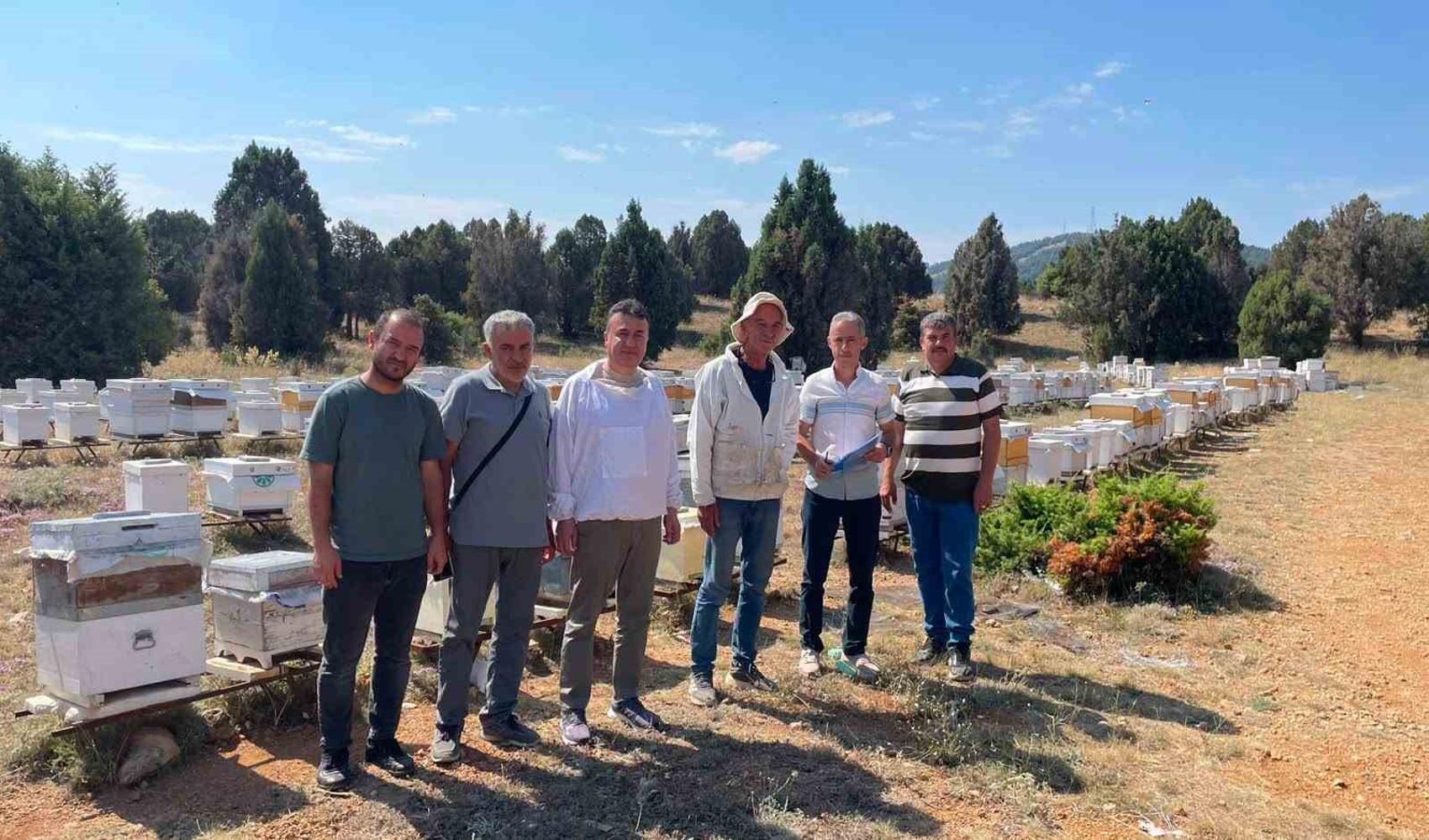 Beyşehir’de 2026 arılı kovan desteklemeleri için saha sayımları başladı