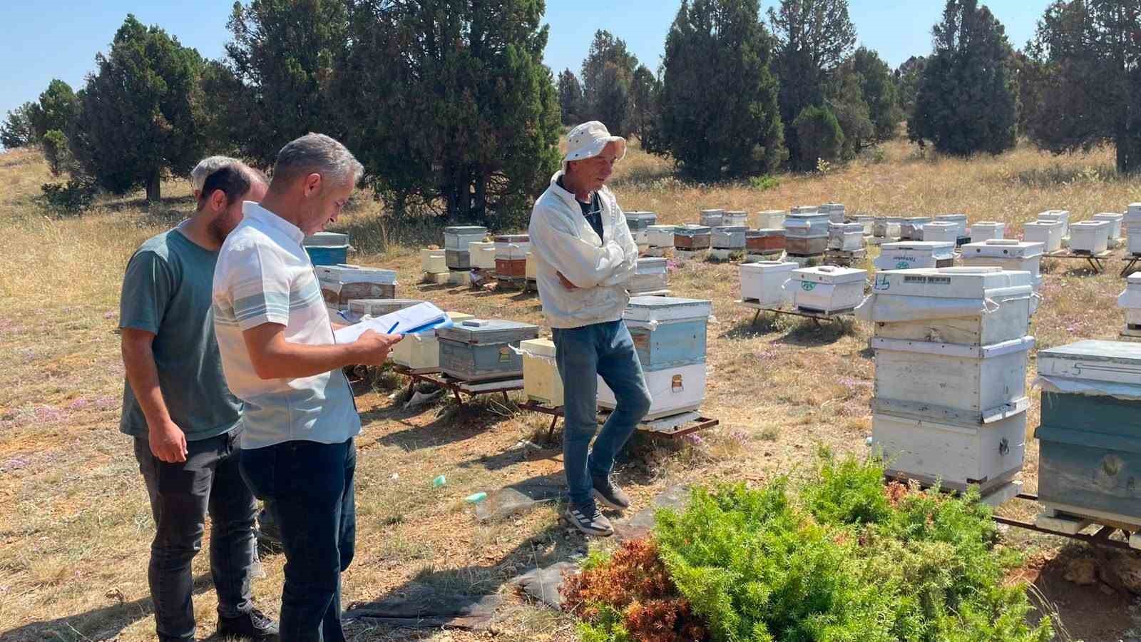 Beyşehir’de arılık alanında kovanları inceleyen ve not alan tarım ekipleri.