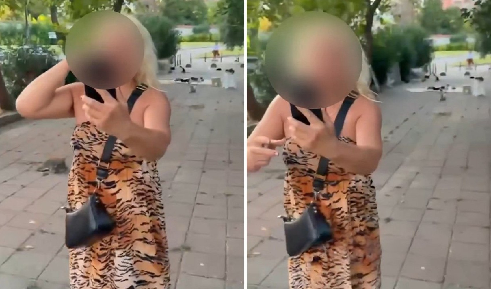 Bakırköy’de kedilere mama verirken yolu kapattığı iddia edilen kadın gözaltına alındı