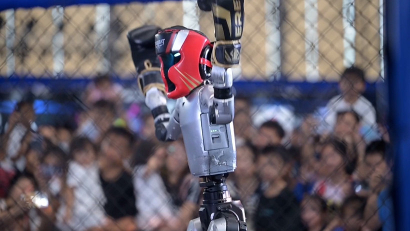 A humanoid robot with boxing equipment performing in the ring.