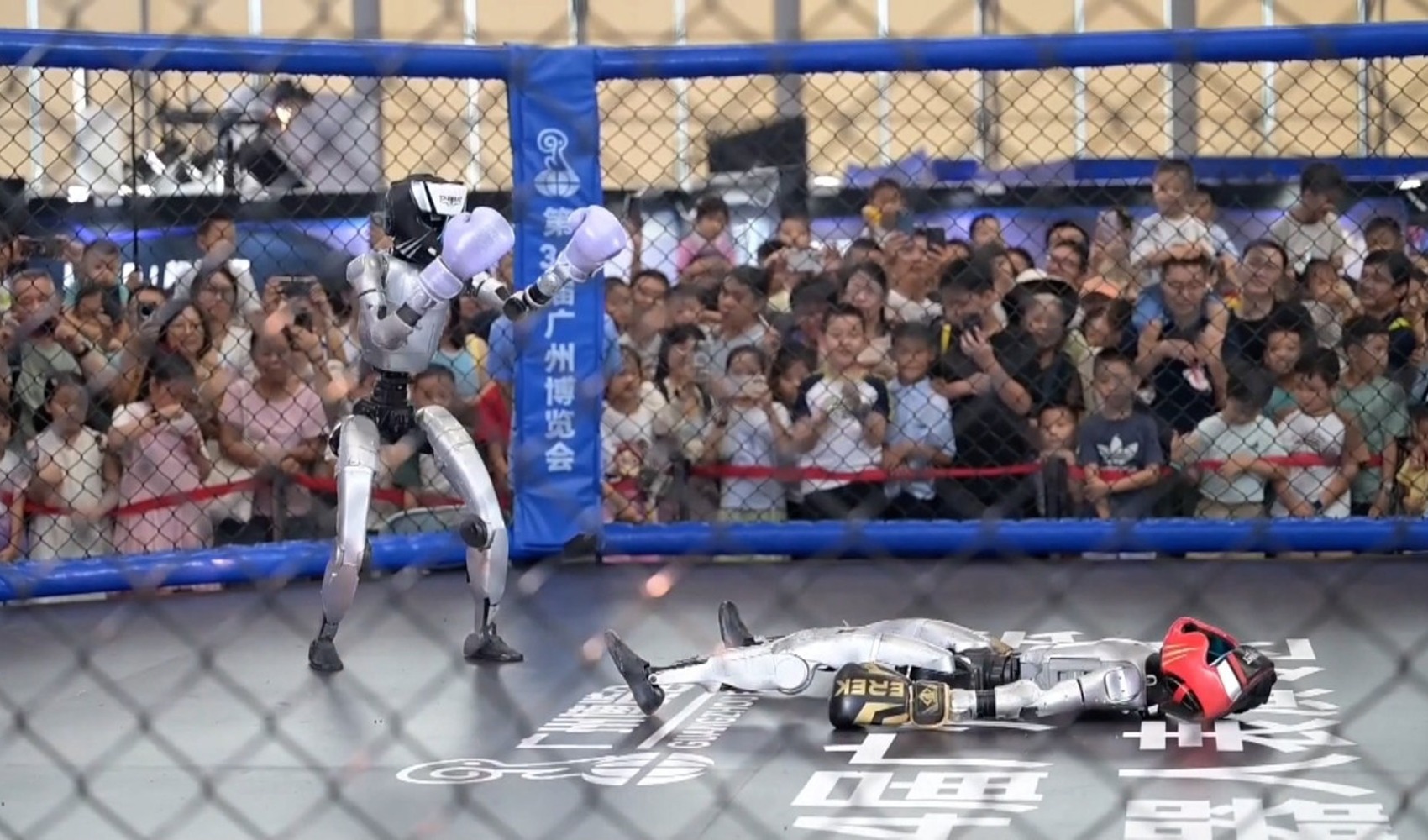 Robotics fair in China: Humanoid robots enter the ring, dance, and compete with visitors