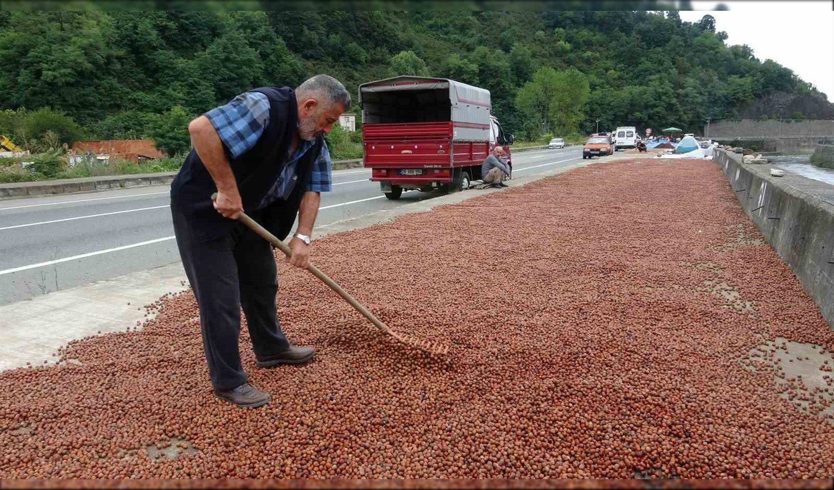 Ticaret Bakanlığı harekete geçti: Giresun ve Ordu'da denetim süreci başlatıldı
