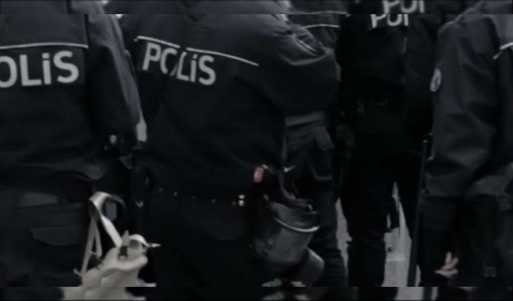 19 yıl sonra çözülen karanlık dosya