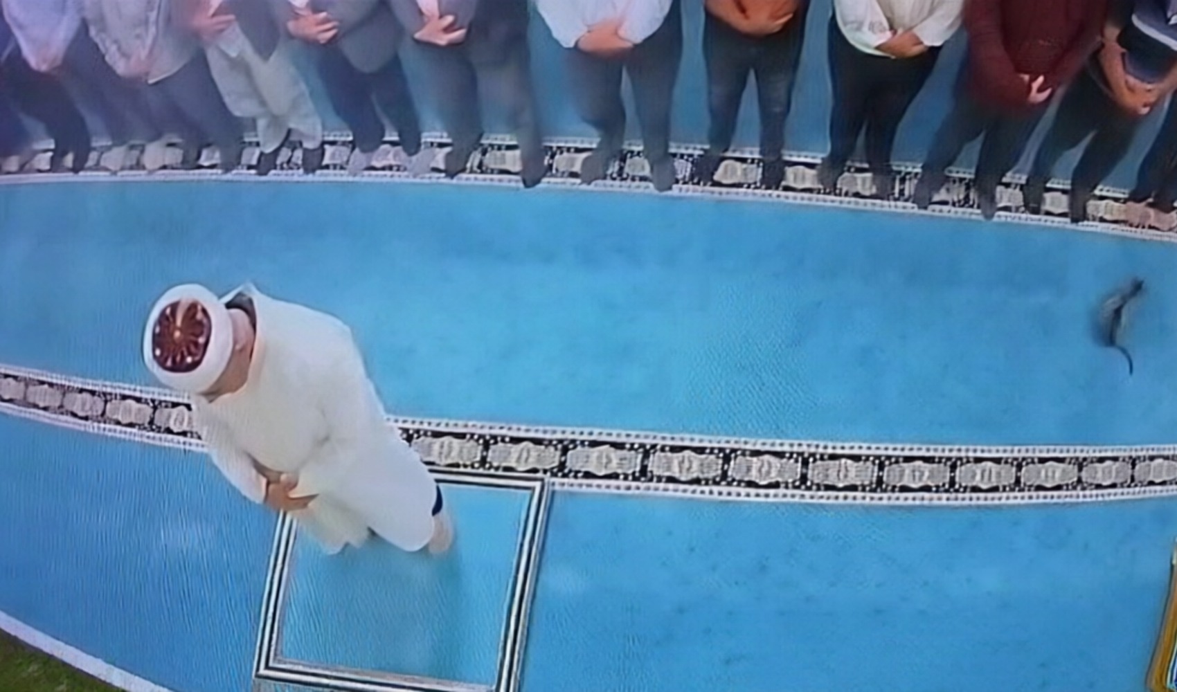 Camide kediyi tekmeleyen şüpheli gözaltına alındı