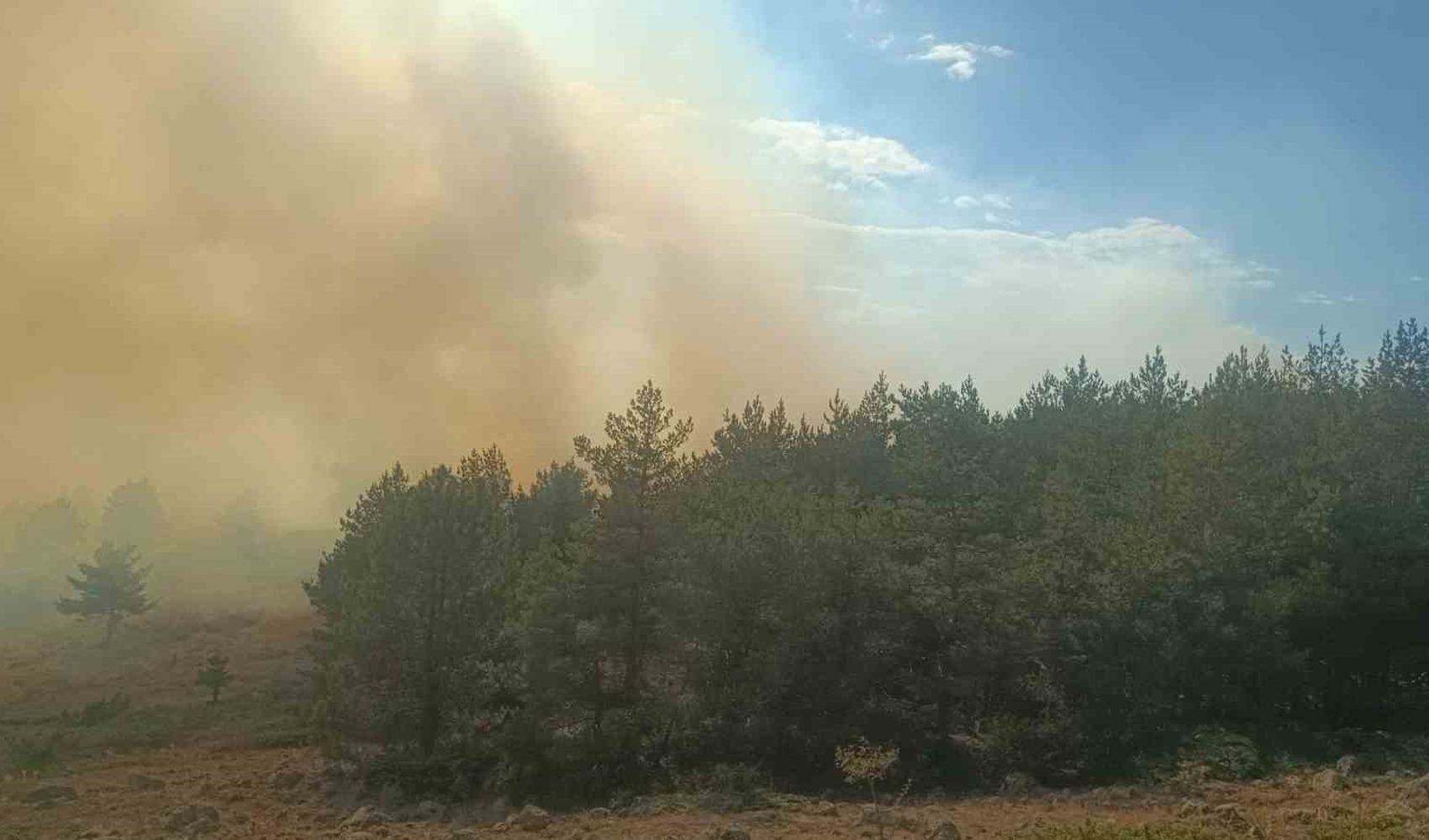 Incendio partito da un'area erbosa si propaga al bosco: inviati 2 elicotteri
