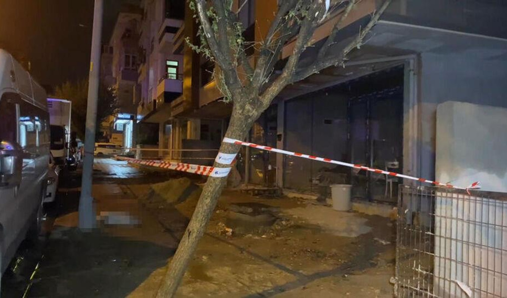 Dog dies after being electrocuted in Küçükçekmece, owner slightly injured