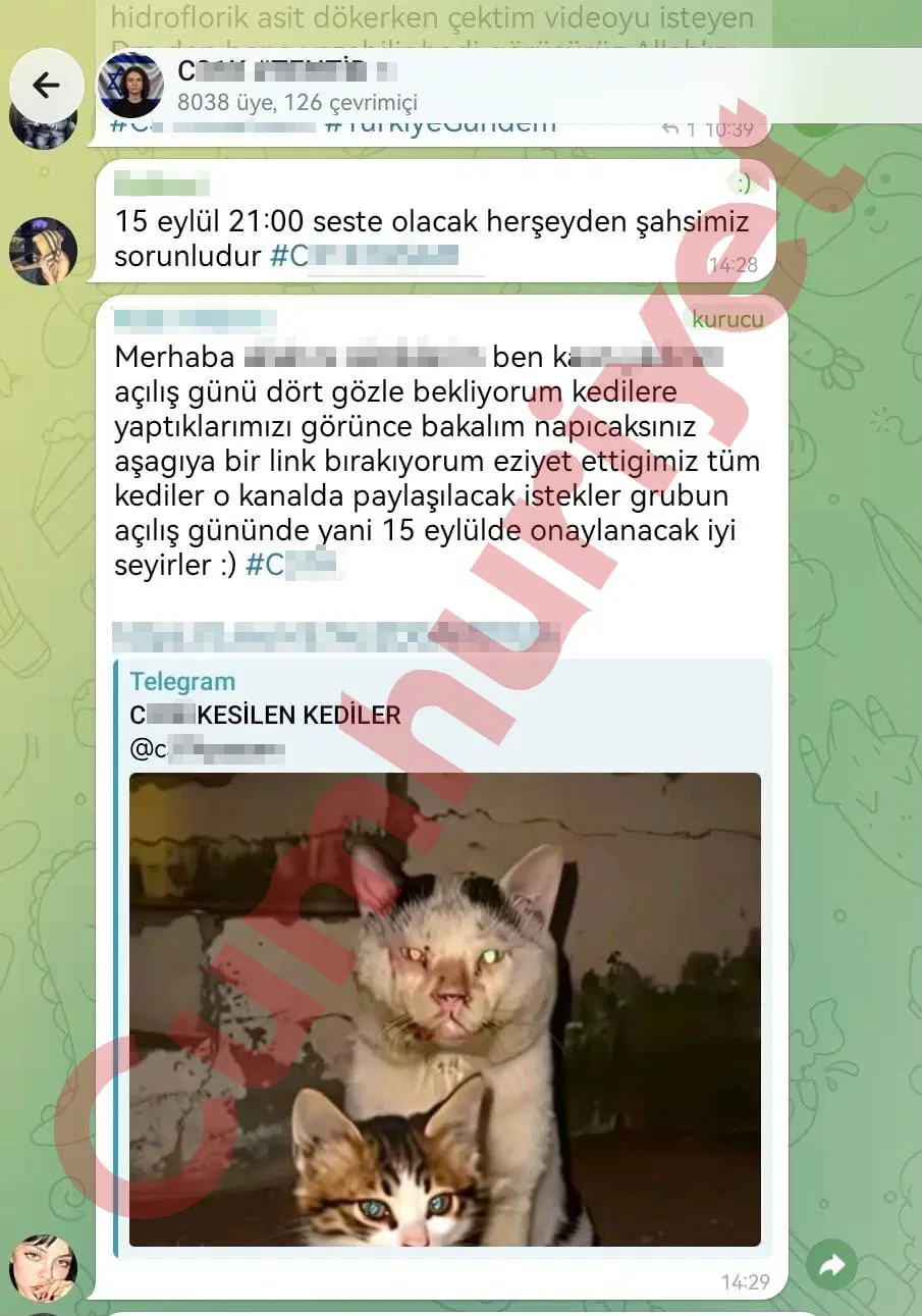 Telegram grubuna ait olduğu ileri sürülen, bazı bölümleri bulanıklaştırılmış bir yazışma ekranı.